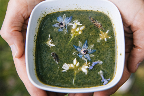 Soupe à l’ortie et fleurs comestibles