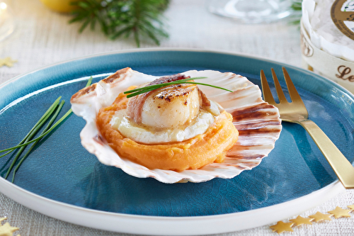 Noix de Saint-Jacques lardées sur un Tentation de Saint-Félicien fondu et une purée de patate douce