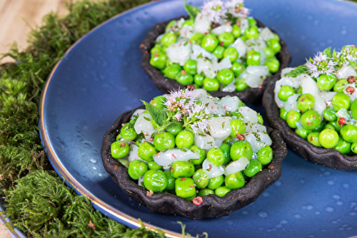 Tartelettes Saint-Jacques de la baie de Saint-Brieuc, menthe et petit pois