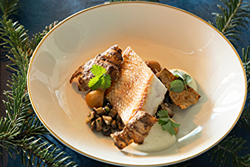 Mousse et chips de topinambours avec son filet de poisson