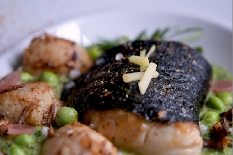 Roulé de cabillaud à l’algue nori et noix de Saint-Jacques de la baie de Saint-Brieuc, purée de petits pois