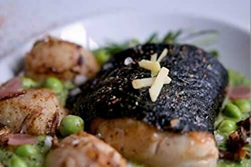 Roulé de cabillaud à l’algue nori et noix de Saint-Jacques de la baie de Saint-Brieuc, purée de petits pois