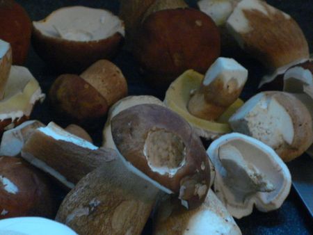 L'OMELETTE AUX CEPES