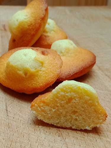 MADELEINES.