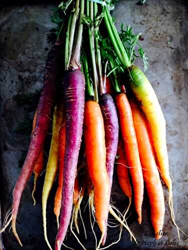 Carottes anciennes