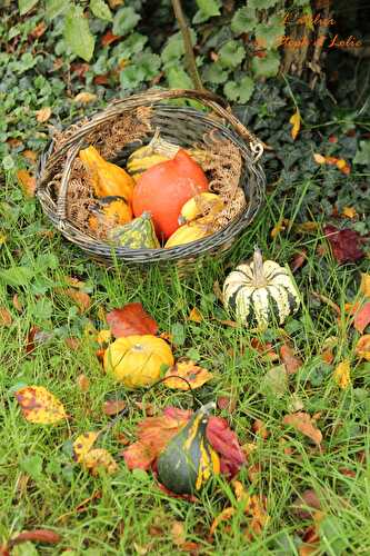 Cucurbitacées & légumes d'Halloween