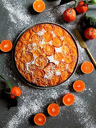 Gâteau moelleux aux clémentines