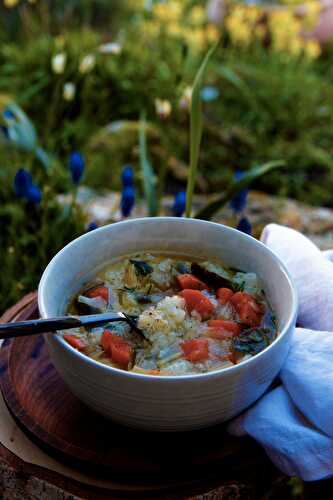 Riz gluant au bouillon de poule