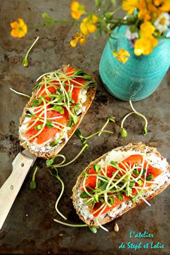 Tartines au chèvre frais, saumon et pousses de tournesol