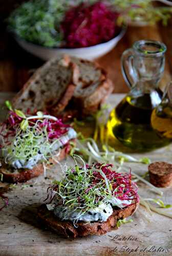 Tartines printanières au chèvre et graines germées