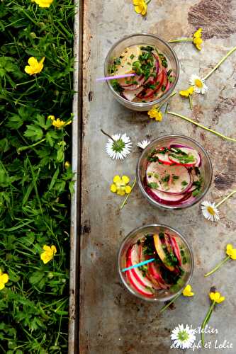 Verrine apéritive de radis multicolores