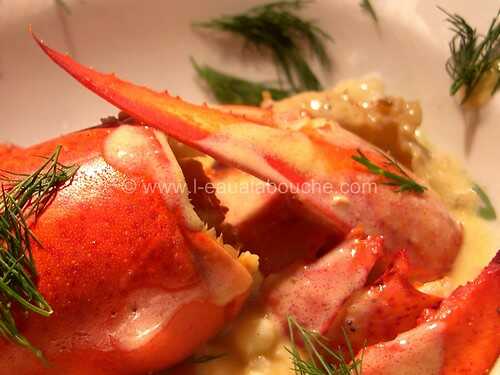 Homard & Langoustines Sauce Champagne Orange