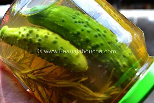 Cornichons en Bocal