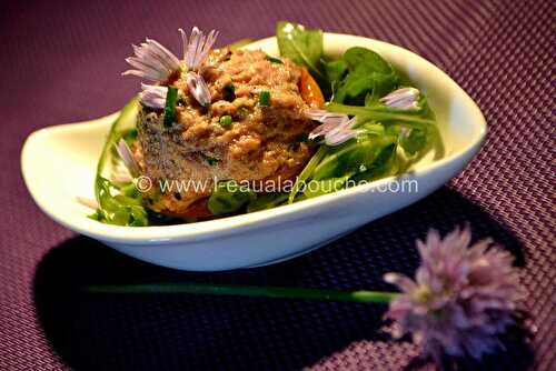 Rillettes d'Oie aux Abricots