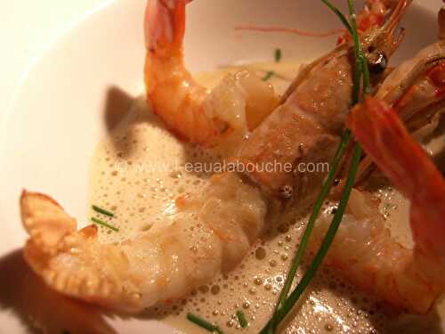 Langoustines et Crevettes  Espuma au Réglisse