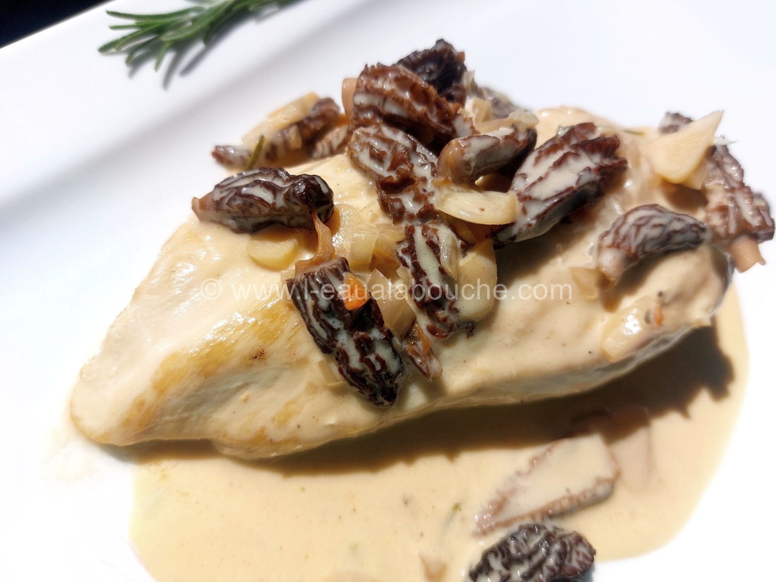 Blancs De Poulet Sauce À La Crème Et Aux Morilles