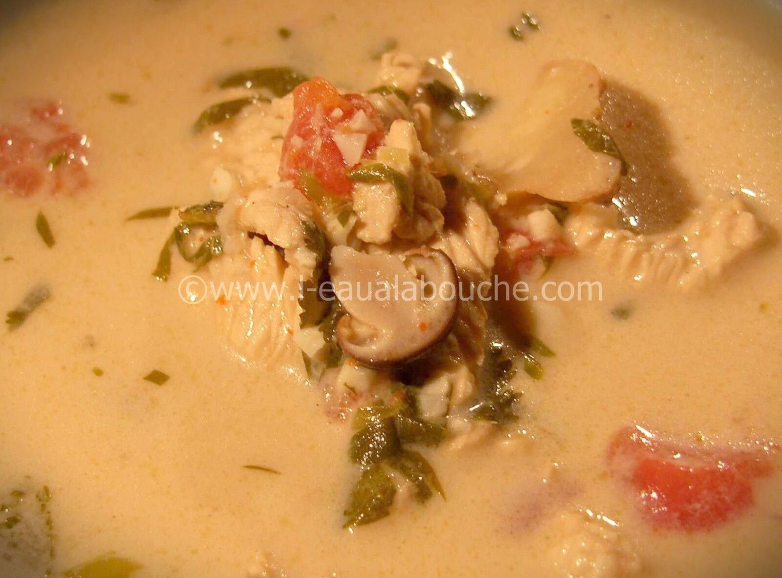 Soupe De Poulet Au Curry Vert