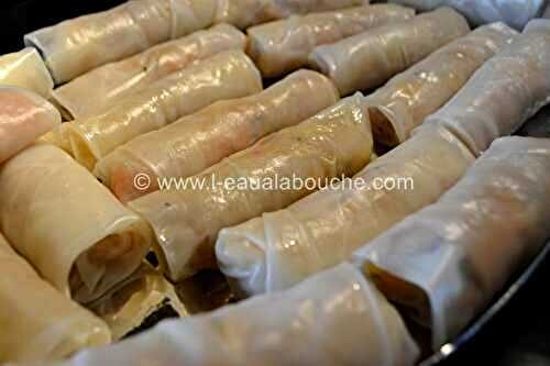 Rouleaux De Printemps Au Saumon Et Aux Crevettes