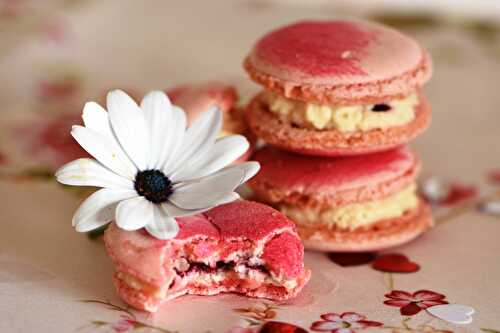 Macarons vanille framboise