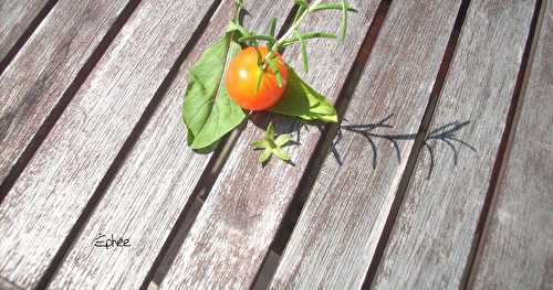 Collation du (petit) jardin