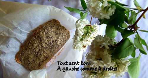 Gâteau à la noix de coco avec fruits et sauce à la rhubarbe (sans gluten)