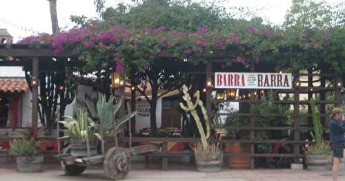 La flore en Baja California