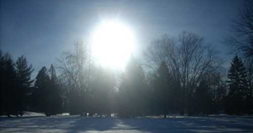 Se vautrer dans le soleil!