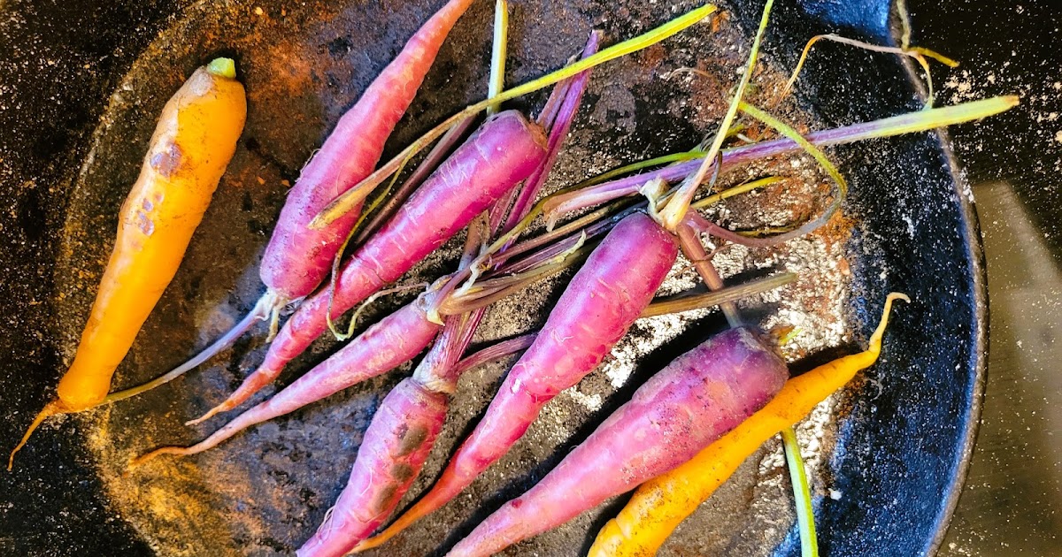Carottes brûlées  sur pain plat aux patates douces avec houmos
