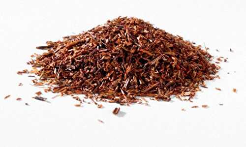 Le rooibos : vertus, histoire et préparation