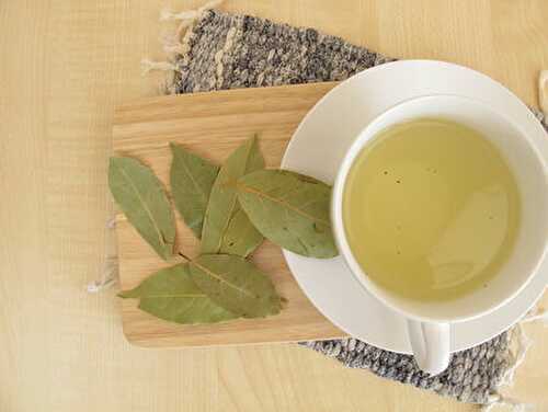 Tisane de laurier sauce : Recette et bienfaits pour la santé