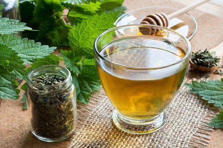 Tisane de feuilles d’ortie : recettes et bienfaits