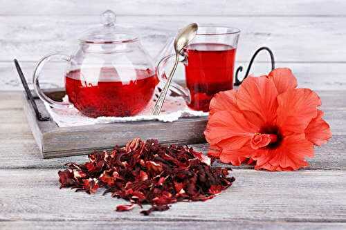 L’hibiscus (bissap) : dangers et contre-indications à connaitre