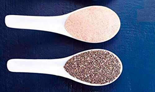 Psyllium ou graines de chia : lequel choisir ?