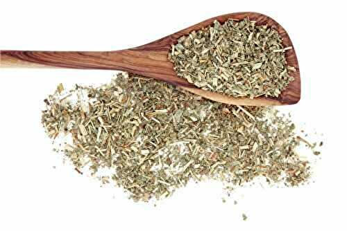 Aigremoine : Bienfaits, utilisation et précautions d’usage !