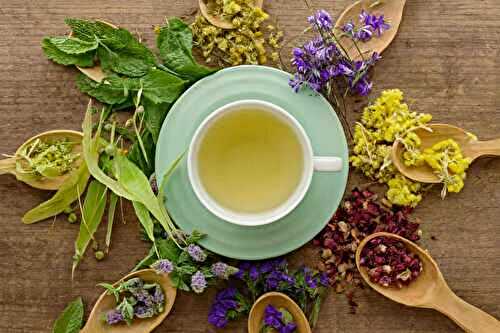Top 5 des tisanes relaxantes pour gérer le stress au quotidien