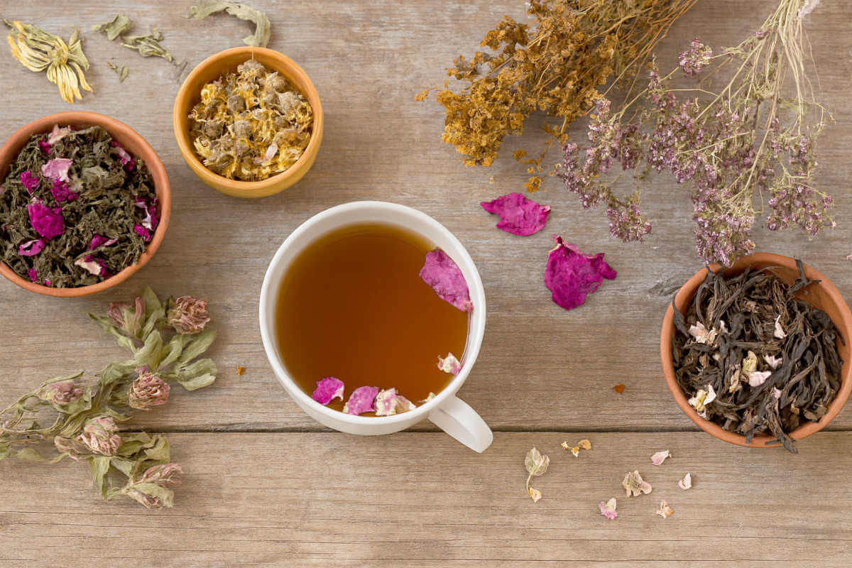 Top 7 meilleures tisanes pour soulager les ballonnements rapidement