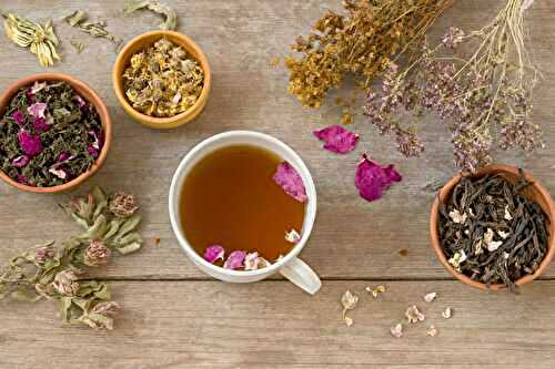 Top 7 meilleures tisanes pour soulager les ballonnements rapidement