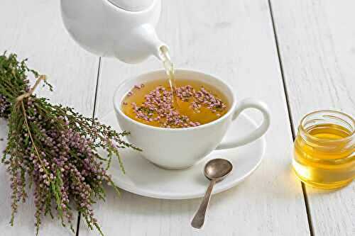 Top 5 des meilleures tisanes contre les infections urinaires