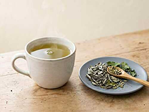 Infusion de séné sans mal de ventre : recette et dosage