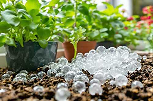 Des billes magiques pour garder vos pots arrosés ? Le secret des jardiniers malins