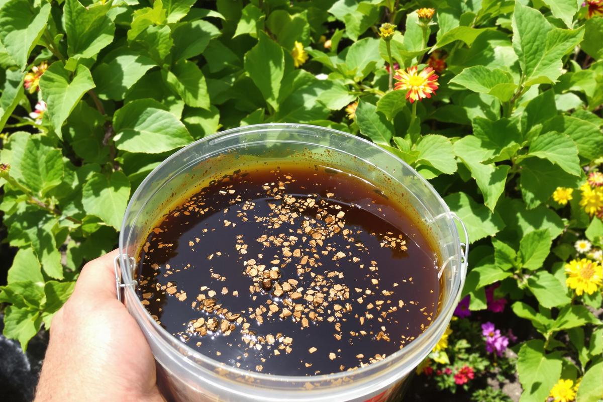 Infusions maison pour plantes : j’ai testé (et validé) le thé de compost