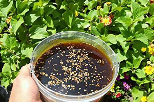 Infusions maison pour plantes : j’ai testé (et validé) le thé de compost