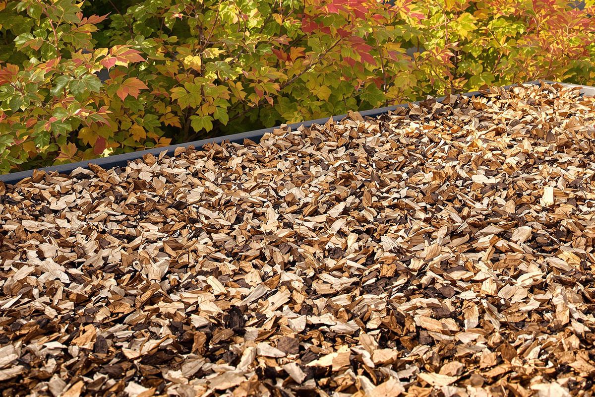 Je prépare mon paillage maison avant les semis de rentrée (et mon sol reste vivant tout l’automne)
