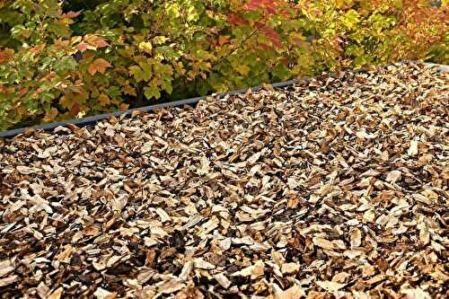 Je prépare mon paillage maison avant les semis de rentrée (et mon sol reste vivant tout l’automne)
