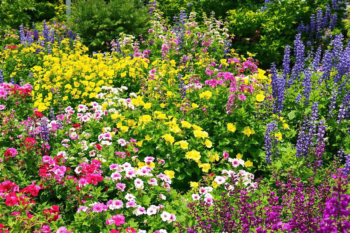 Plantes couvre-sol fleuries : lesquelles embellissent encore le sol en juillet ?