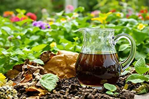 Thé de compost : l’élixir secret pour booster toutes vos plantations