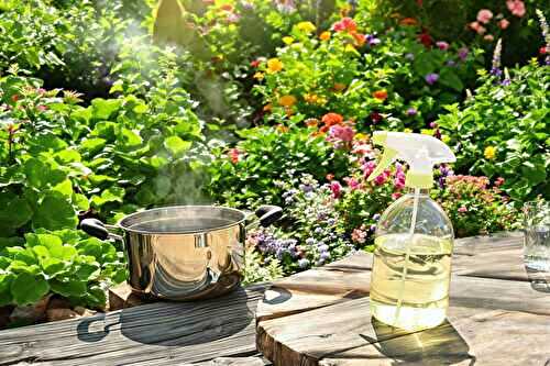 5 techniques naturelles que j’utilise pour désherber sans me fatiguer