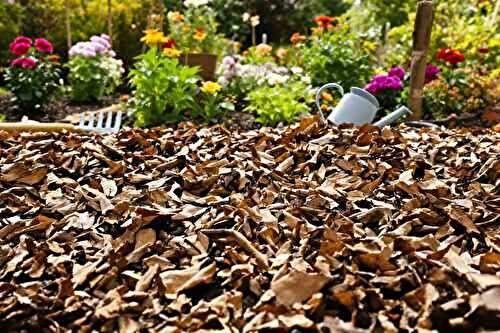 Comment je prépare mon jardin avec un paillage malin en fin d’été