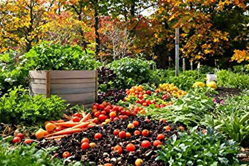 Fertiliser naturellement son potager pour l’automne