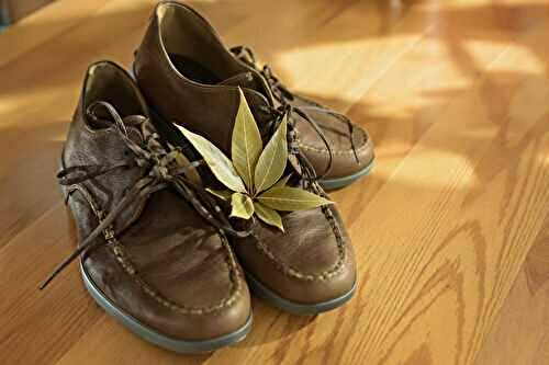 J’ai glissé une feuille de laurier dans mes chaussures : l’effet inattendu est bluffant